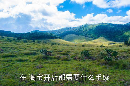 在 淘宝开店都需要什么手续