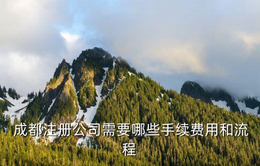  成都注册公司需要哪些手续费用和流程