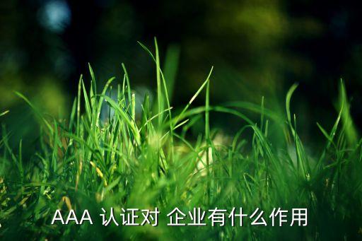 AAA 认证对 企业有什么作用