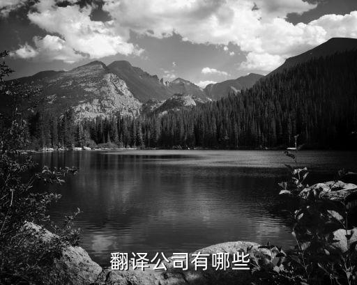  翻译公司有哪些
