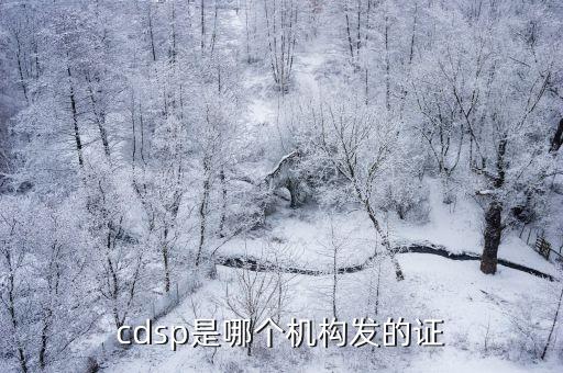 cdsp是哪个机构发的证