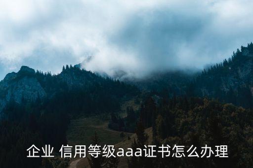  企业 信用等级aaa证书怎么办理