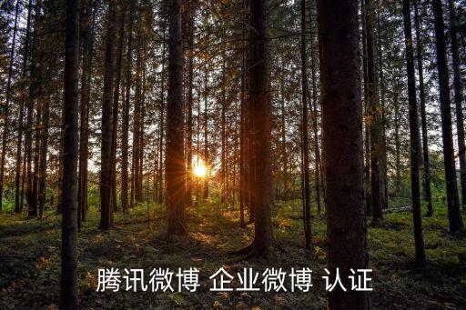 腾讯企业官方认证号,腾讯视频企业员工认证怎么弄