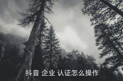 抖音个人认证变成企业认证,抖音企业认证变成个人号
