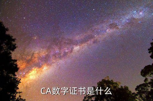 CA数字证书是什么