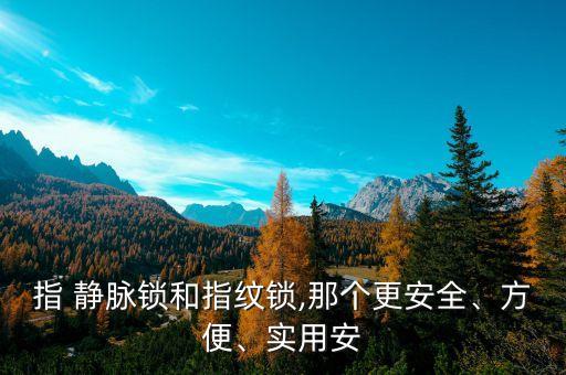 指 静脉锁和指纹锁,那个更安全、方便、实用安