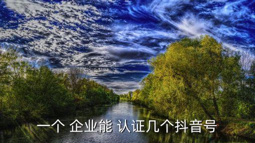 一个 企业能 认证几个抖音号
