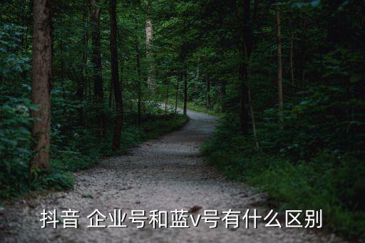 抖音 企业号和蓝v号有什么区别