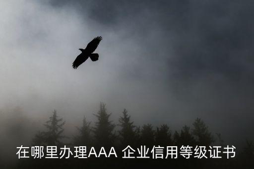 在哪里办理AAA 企业信用等级证书
