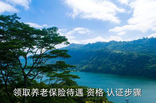 社区办理企业退休资格认证,支付宝如何办理退休待遇资格认证