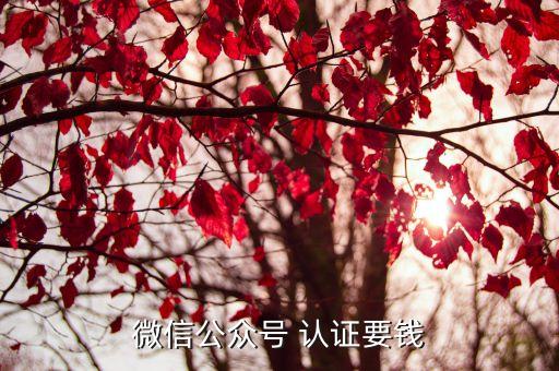 微信公众号 认证要钱