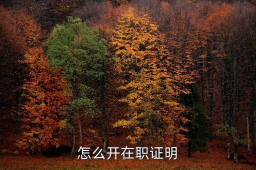 怎么开在职证明