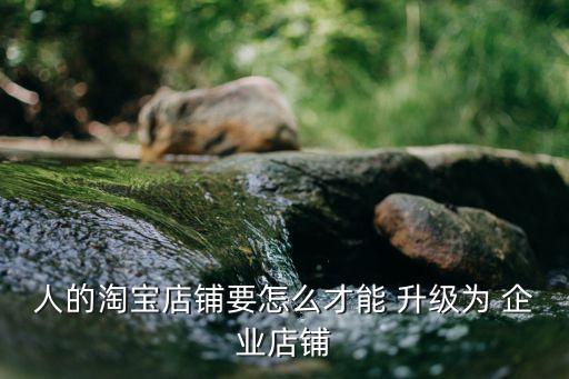 人的淘宝店铺要怎么才能 升级为 企业店铺