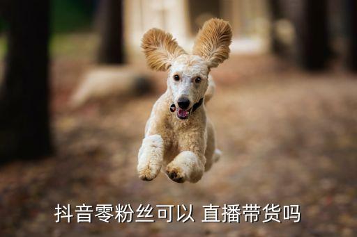 企业认证0粉直播,钉钉直播 一定要企业认证吗