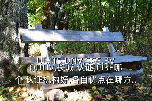 UL,ITS,DNV,SGS,BVQITUV,长城 认证,CISE哪个 认证机构好,各自优点在哪方...