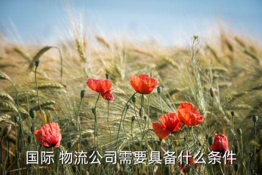 国际 物流公司需要具备什么条件