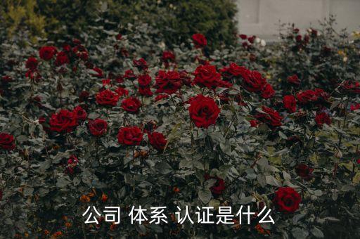 公司 体系 认证是什么