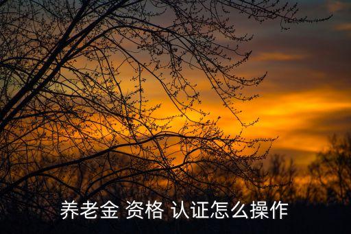 养老金 资格 认证怎么操作