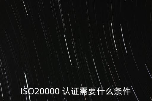 ISO20000 认证需要什么条件