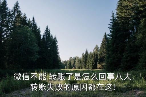  微信不能 转账了是怎么回事八大 转账失败的原因都在这!