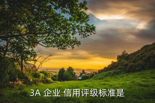 3A 企业 信用评级标准是