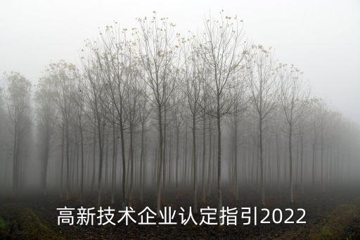 康平高新企业认证公示名单,高新企业认证流程如何进行?
