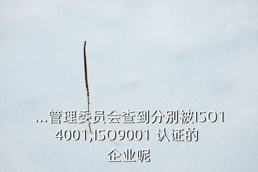...管理委员会查到分别被ISO14001,ISO9001 认证的 企业呢