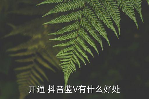 开通 抖音蓝V有什么好处