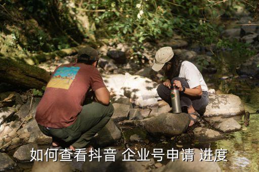 如何查看抖音 企业号申请 进度