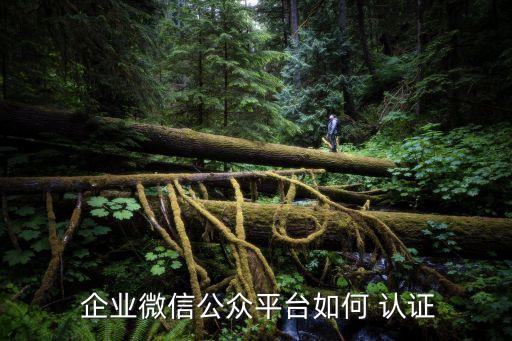  企业微信公众平台如何 认证