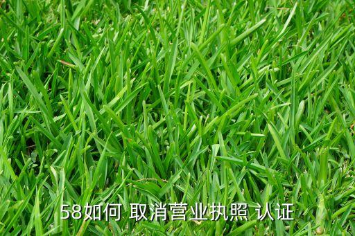 58如何 取消营业执照 认证