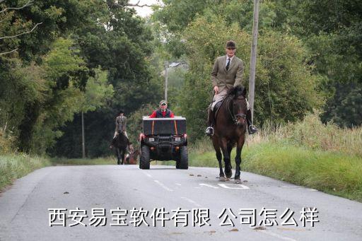  西安易宝软件有限 公司怎么样