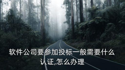 软件企业认证机关,不用企业认证的招聘软件