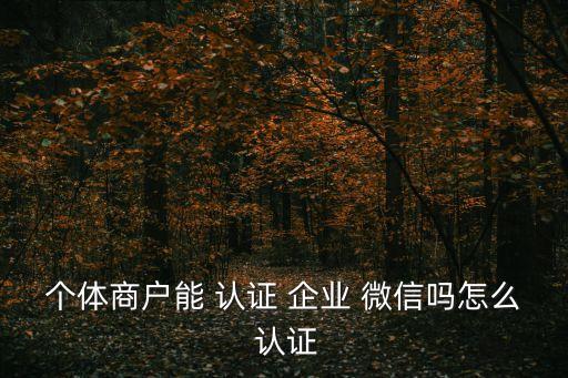微信企业认证怎么操作视频,微信怎么进行企业认证