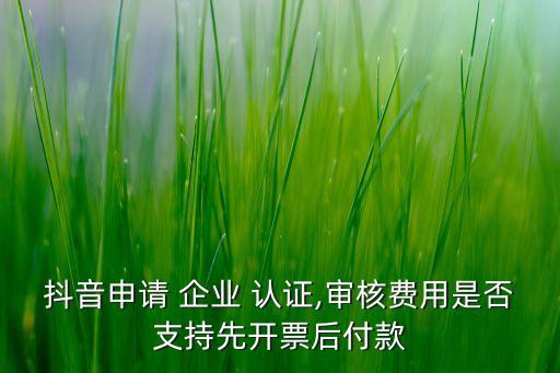 抖音申请 企业 认证,审核费用是否支持先开票后付款