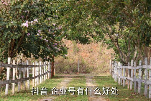 企业号认证的作用,抖音企业号认证流程