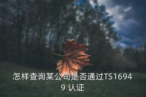 怎样查询某公司是否通过TS16949 认证