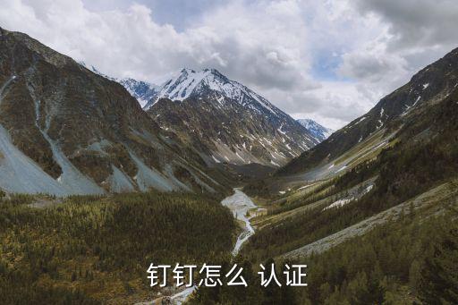 钉钉怎么 认证