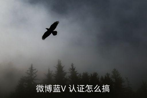 企业蓝v认证很慢,视频号蓝v企业认证有什么用
