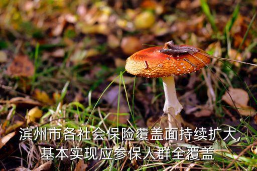  滨州市各社会保险覆盖面持续扩大,基本实现应参保人群全覆盖