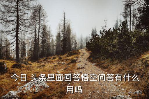  今日 头条里面回答悟空问答有什么用吗