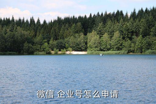 企业账号免费认证步骤,b站企业账号