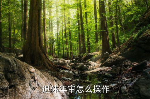  退休年审怎么操作