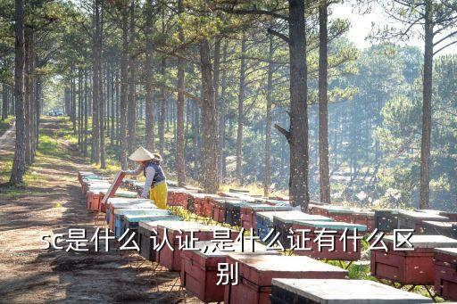 sc是什么 认证,是什么证有什么区别