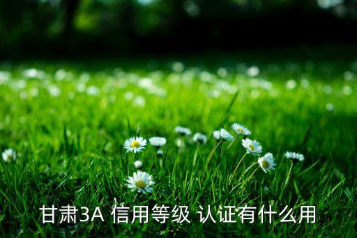 企业信用认证对企业的作用,周口AAA企业信用认证作用