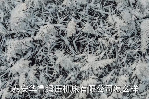 泰安企业信用认证,aaa企业信用认证骗局