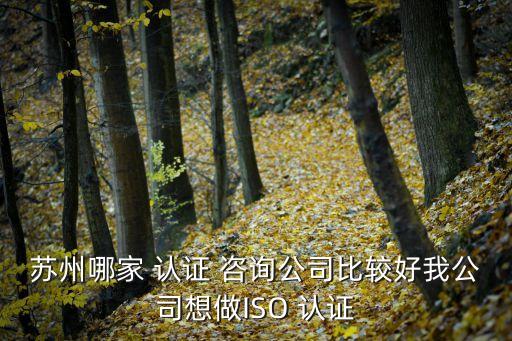 苏州哪家 认证 咨询公司比较好我公司想做ISO 认证