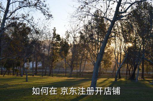 如何在 京东注册开店铺