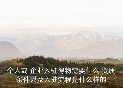 个人或 企业入驻得物需要什么 资质条件以及入驻流程是什么样的