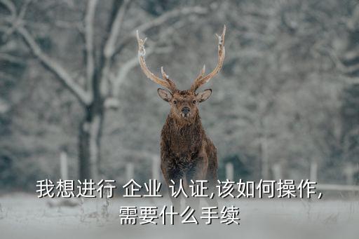 企业认证资料填写步骤,快手企业认证资料
